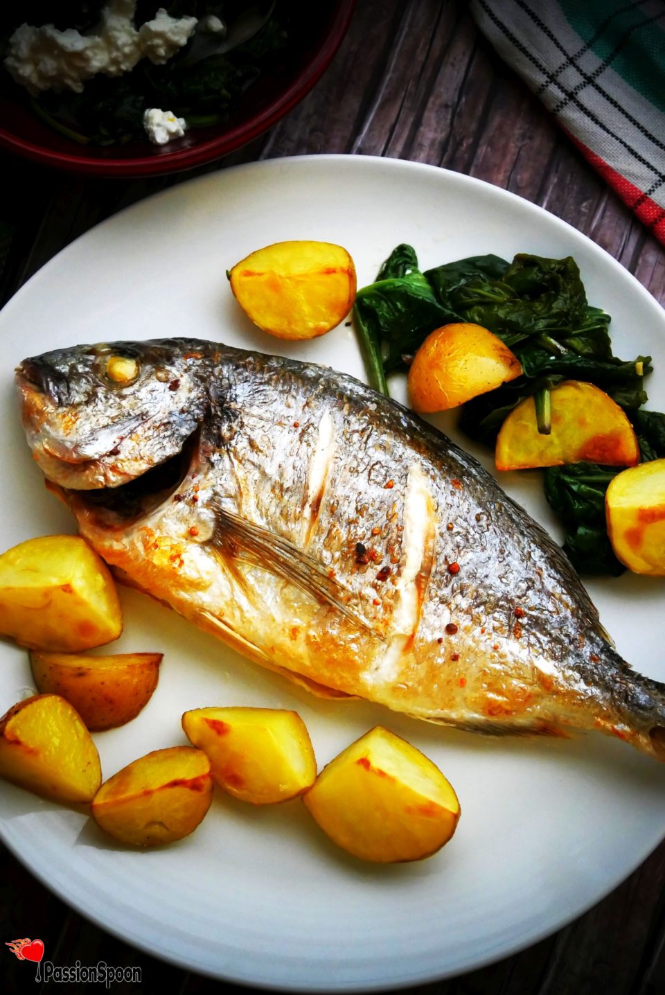 Gilt-head bream and Turbo fish